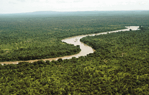 River Gambia within Niokolo-Koba National Park. Photo credit www.kiddle.co.